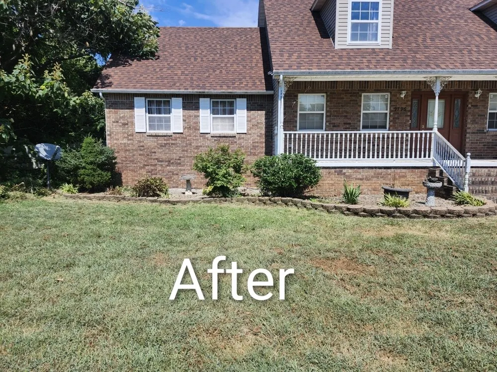 Affordable lawn care service in Miami, OK - Proficient Landscaping