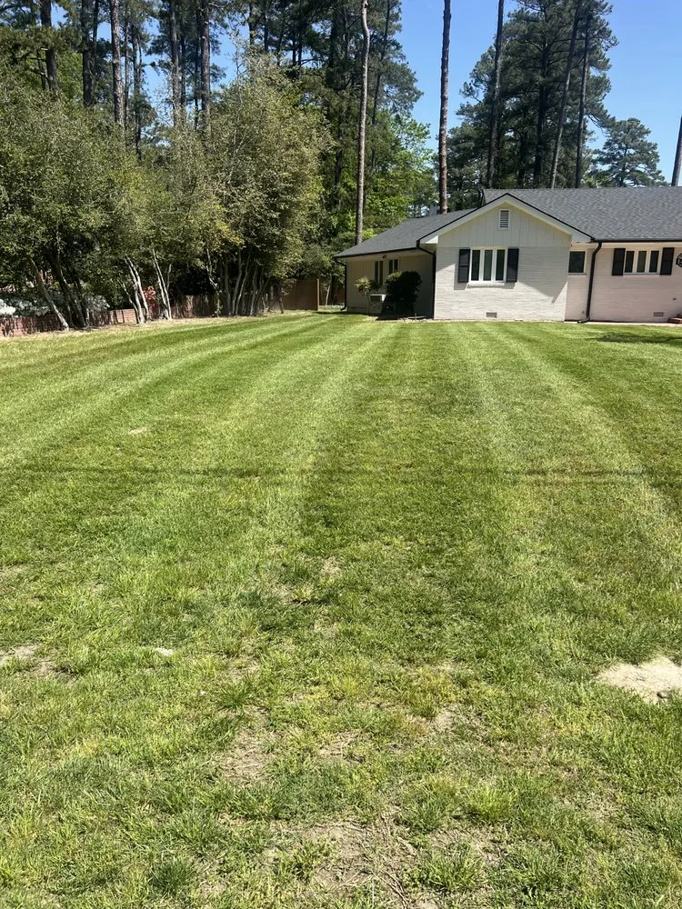 Top-rated outdoor landscaping in Youngsville, NC - Proficient Landscaping