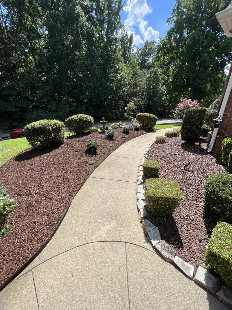 Trusted yard cleanup service for residential properties in Youngsville, NC by Proficient Landscaping