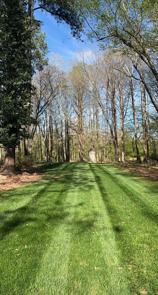 Local lawn care service for year-round maintenance in Youngsville, NC by Proficient Landscaping