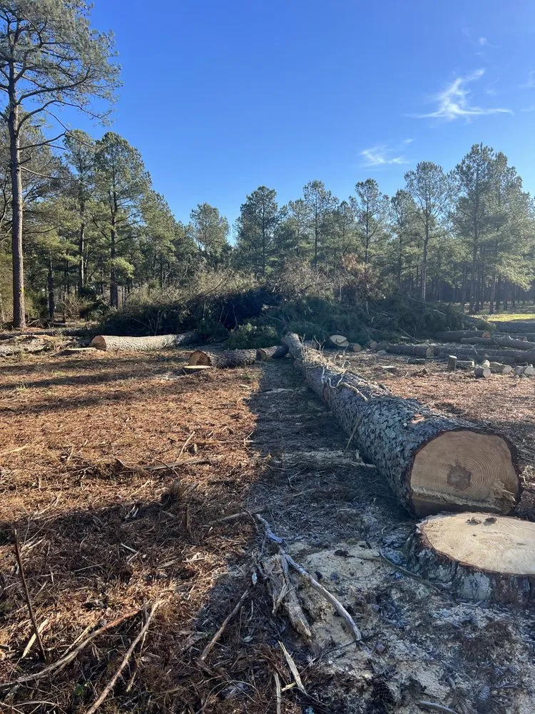 Local garden landscaping in Youngsville, NC by Proficient Landscaping