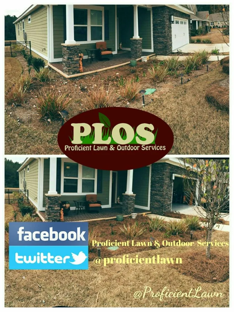 Professional landscaping services for beautiful yards across Tallahassee, FL - Proficient Lawn & Outdoor Services