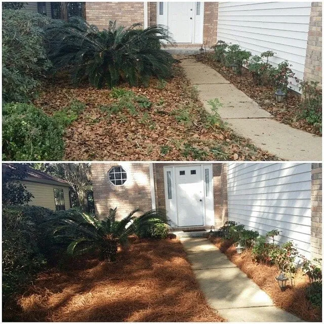 Local garden landscaping with custom design in Tallahassee, FL by Proficient Lawn & Outdoor Services