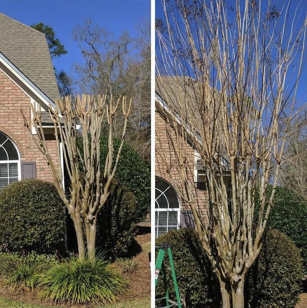 Affordable outdoor landscaping for outdoor upgrades in Tallahassee, FL by Proficient Lawn & Outdoor Services