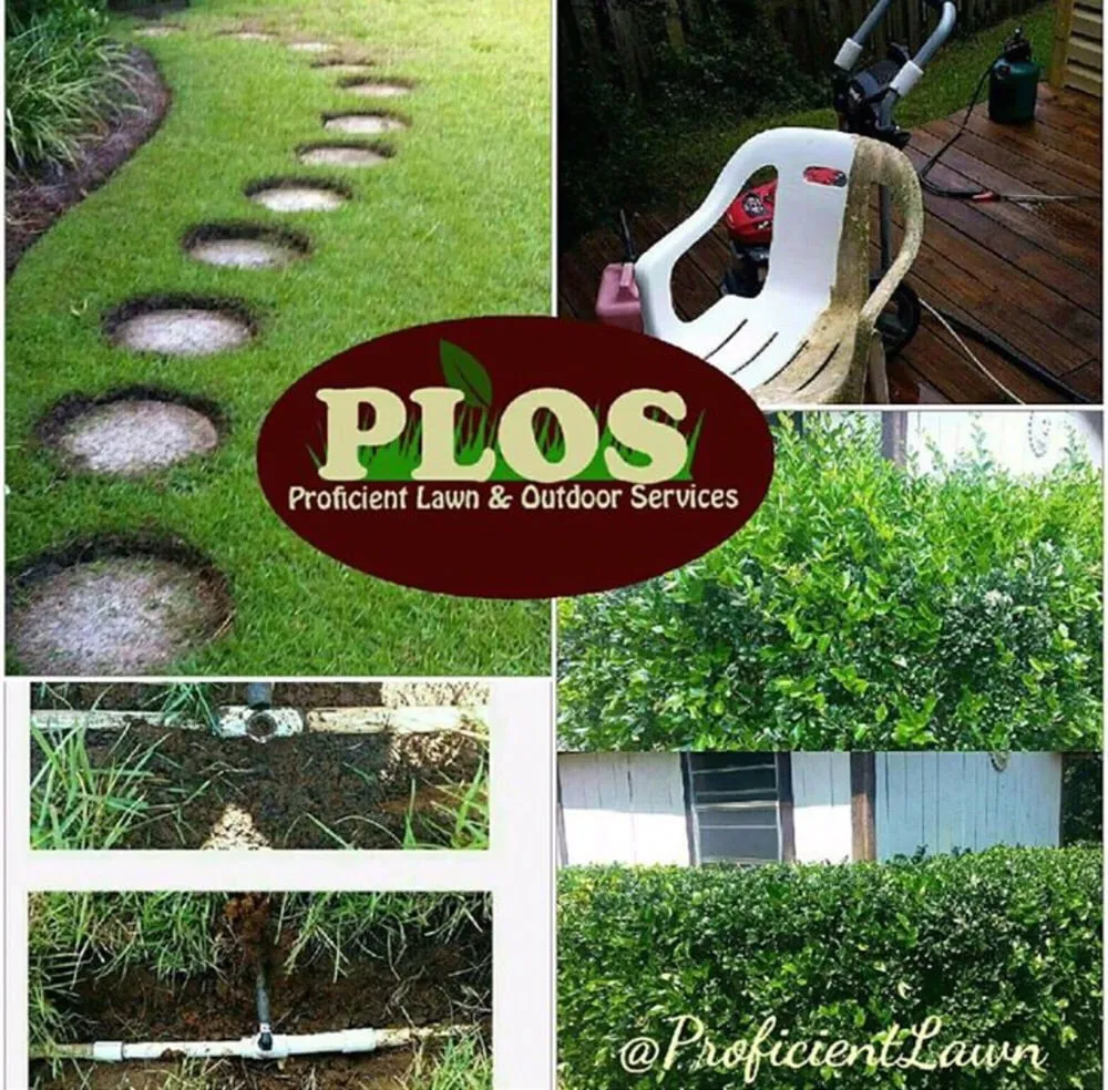 Trusted yard cleanup service in Tallahassee, FL - Proficient Lawn & Outdoor Services