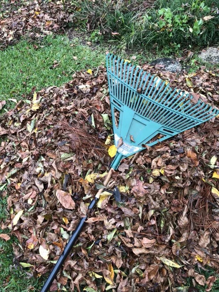 Expert residential landscaping near you in Tallahassee, FL by Proficient Lawn & Outdoor Services