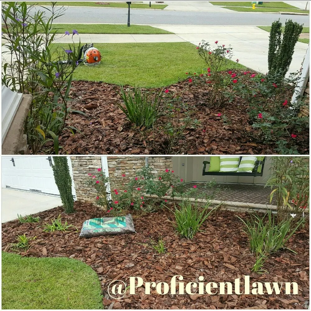 Local yard cleanup service for residential properties in Tallahassee, FL by Proficient Lawn & Outdoor Services