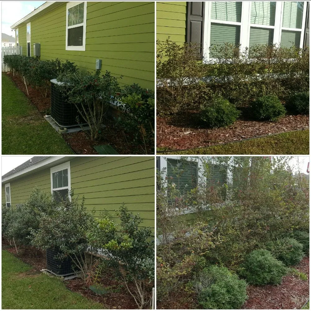 Expert yard maintenance for year-round maintenance in Tallahassee, FL by Proficient Lawn & Outdoor Services