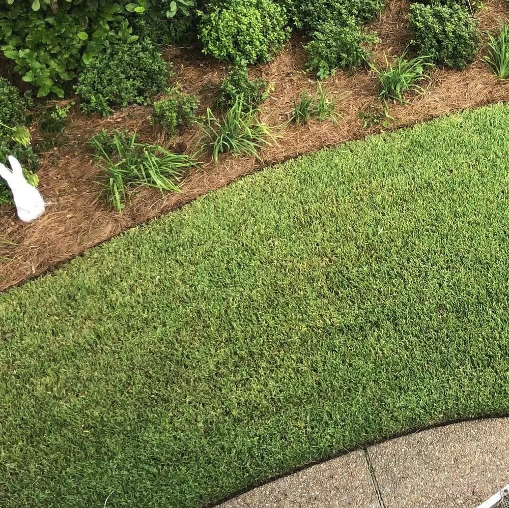 Reliable lawn care service experts serving Tallahassee, FL - Proficient Lawn & Outdoor Services