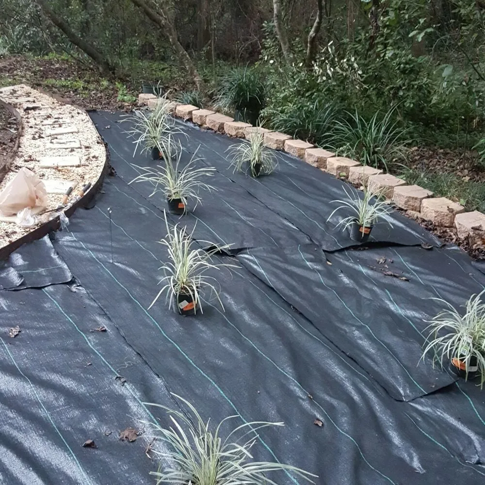 Professional landscaping services in Tallahassee, FL - Proficient Lawn & Outdoor Services