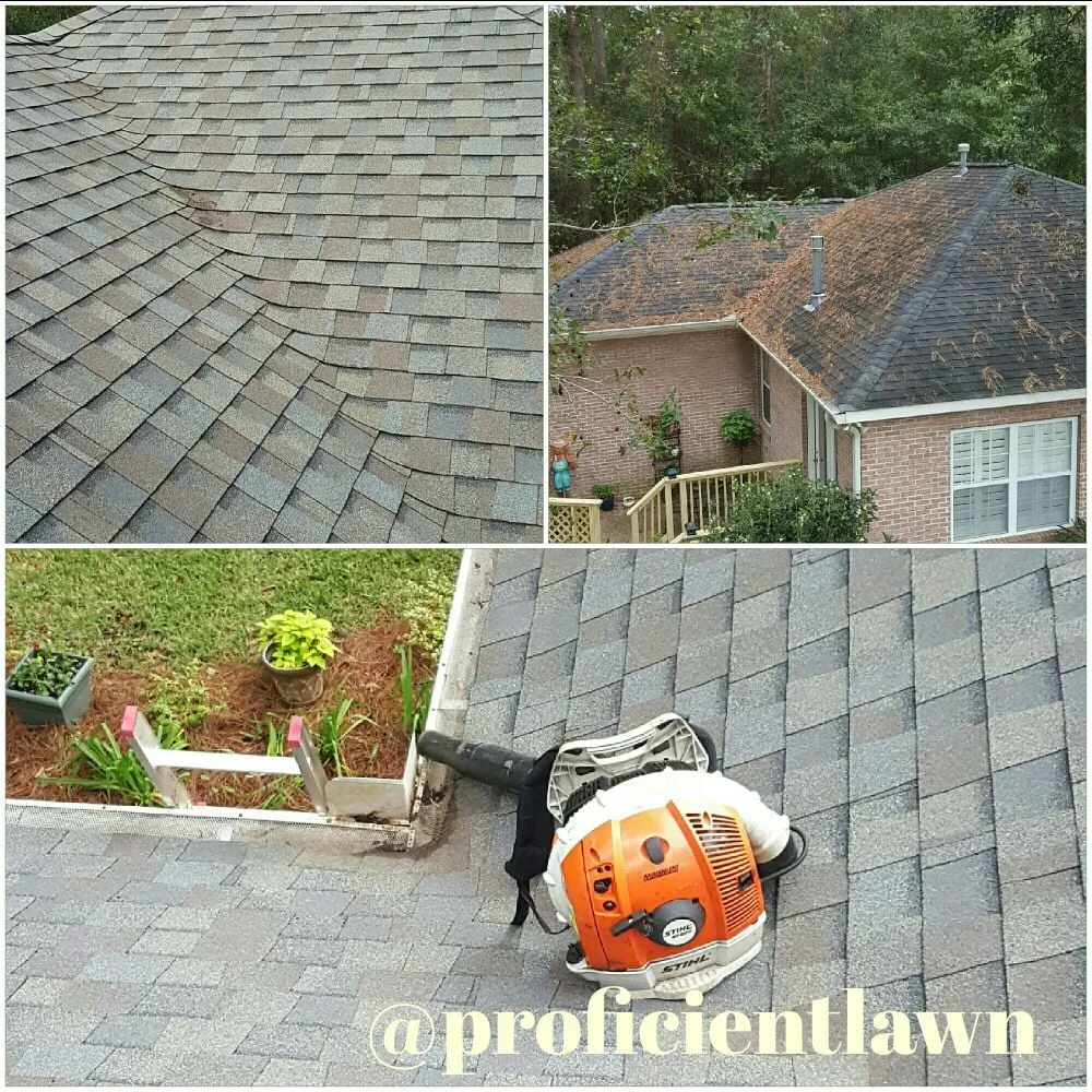 Local residential landscaping for year-round maintenance in Tallahassee, FL by Proficient Lawn & Outdoor Services