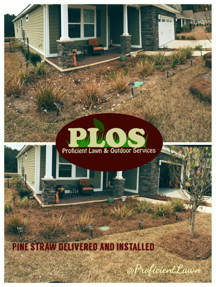 Custom yard cleanup service experts serving Tallahassee, FL - Proficient Lawn & Outdoor Services