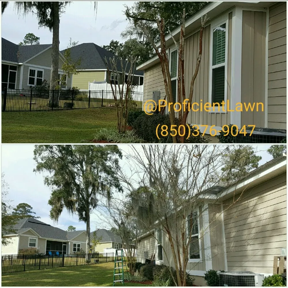 Reliable landscaping services for homes across Tallahassee, FL - Proficient Lawn & Outdoor Services