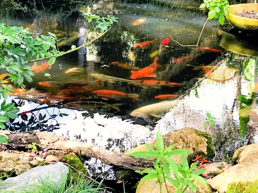 Custom landscape design in LaBelle, FL by Profile Gardens