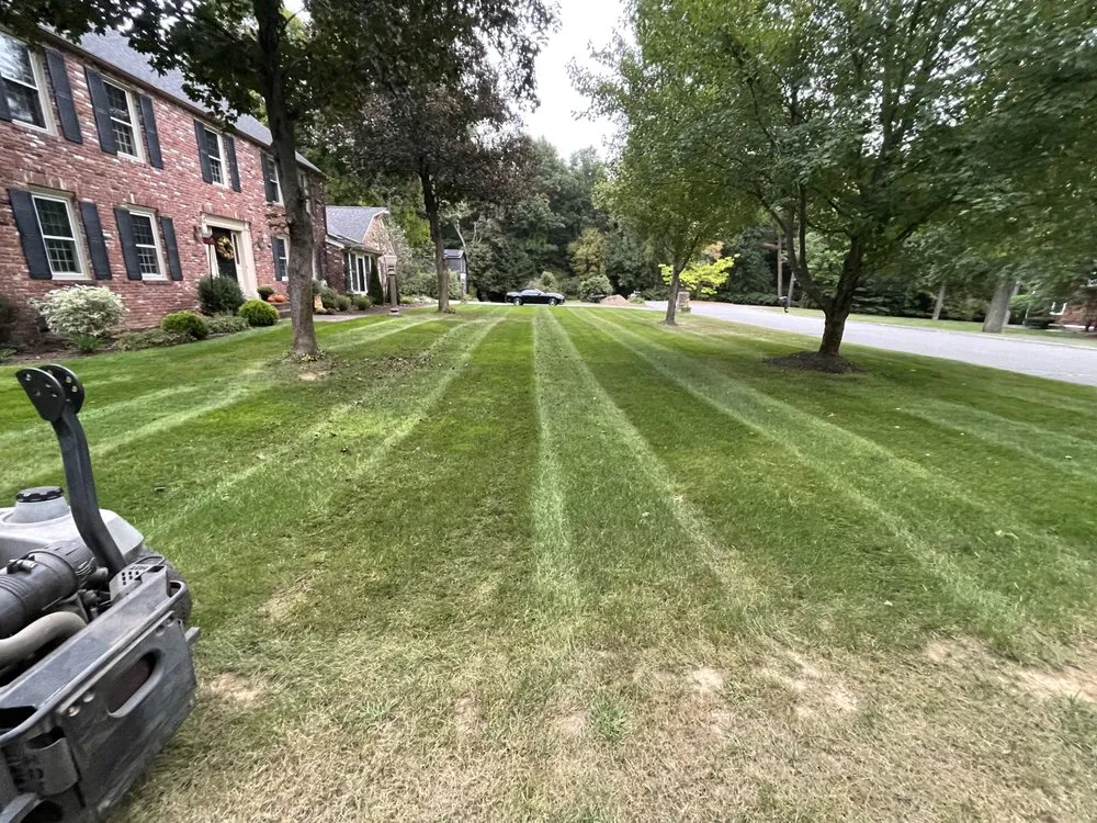 Local yard cleanup service with custom design across Springfield, MA - Profile Landscaping