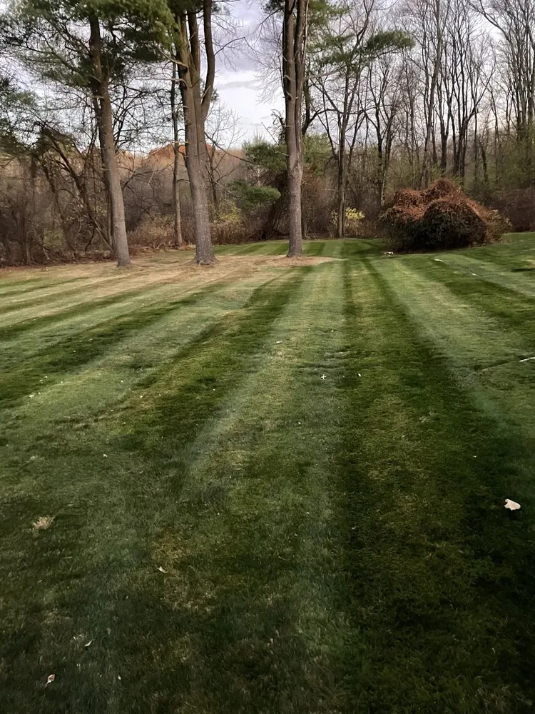 Professional outdoor landscaping in Springfield, MA by Profile Landscaping