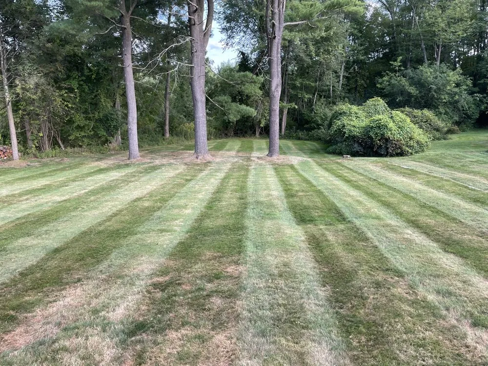 Expert lawn care service for beautiful yards in Springfield, MA by Profile Landscaping