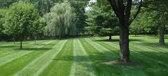 Professional garden landscaping for residential properties across Springfield, MA - Profile Landscaping