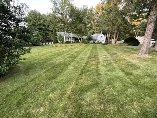 Profile Landscaping Logo