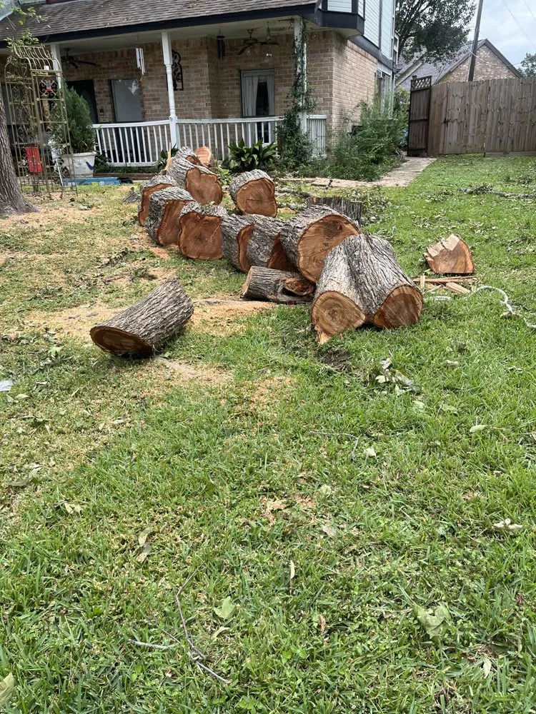 Local yard maintenance for homes across Baytown, TX - Profixd