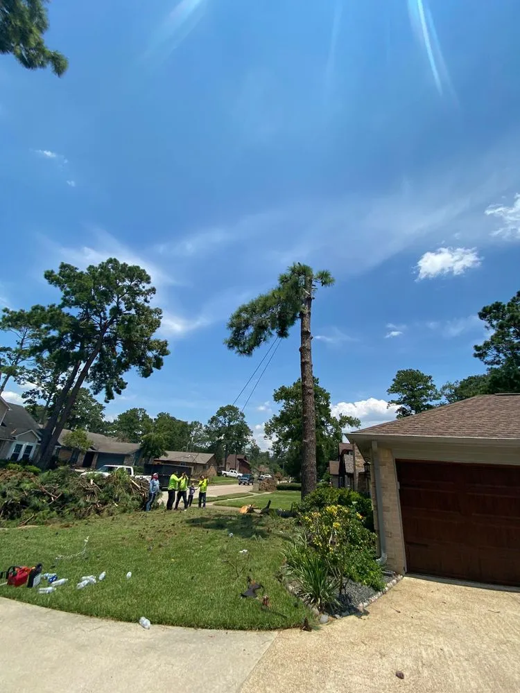 Affordable outdoor landscaping in Baytown, TX by Profixd