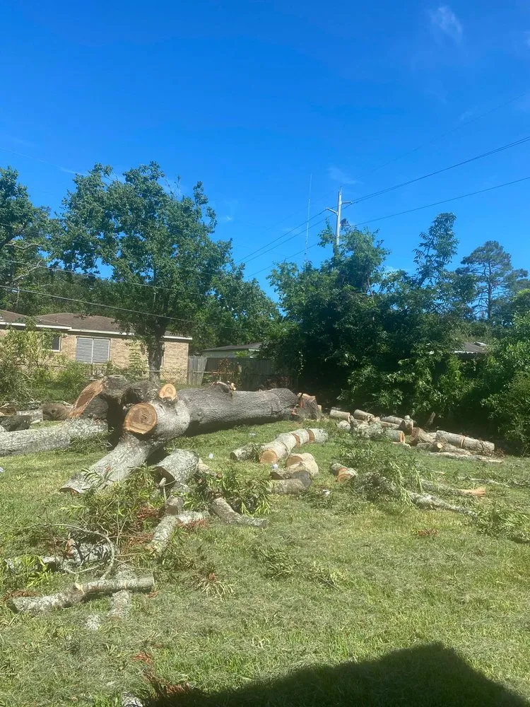 Affordable yard maintenance in Baytown, TX by Profixd