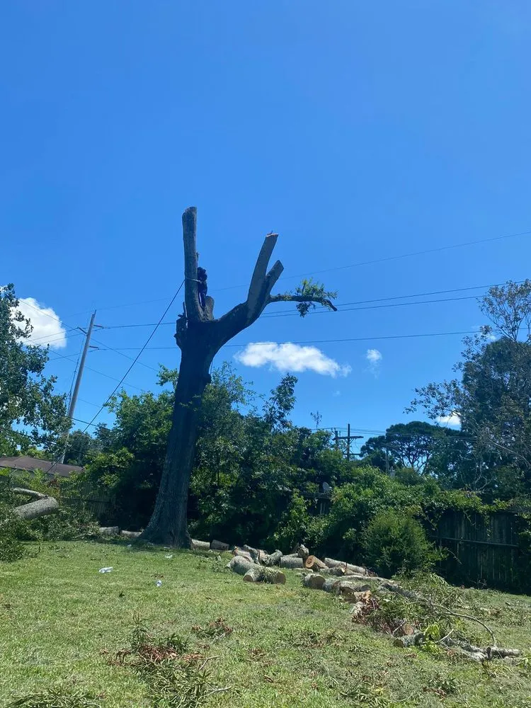 Professional landscape installation in Baytown, TX by Profixd
