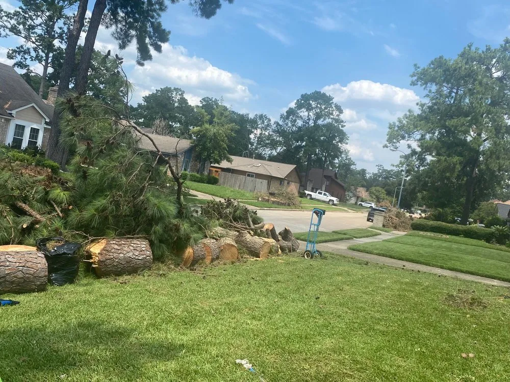 Local landscape installation in Baytown, TX by Profixd