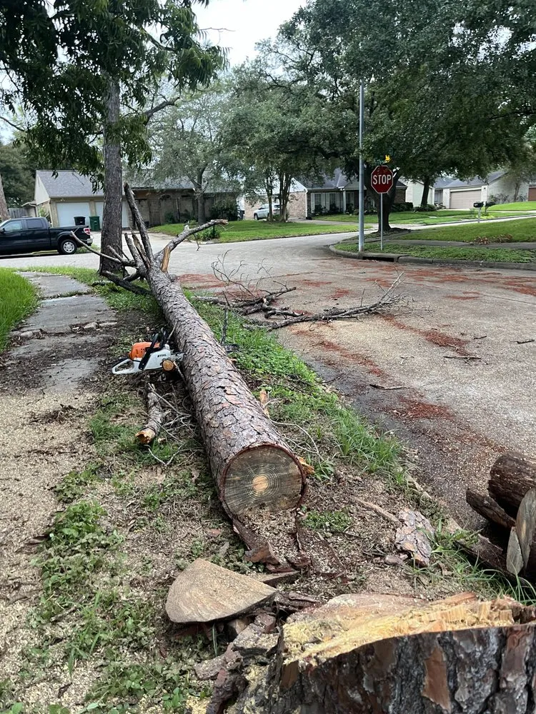 Top-rated yard cleanup service in Baytown, TX - Profixd