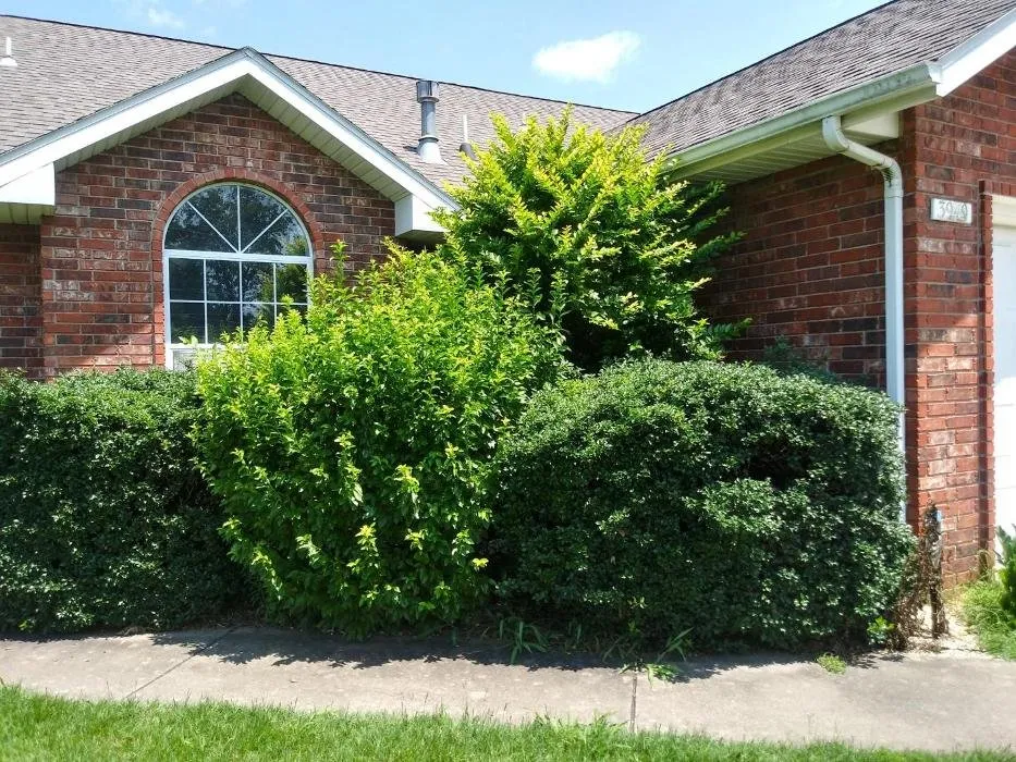 Professional residential landscaping in Springfield, MO by Proformance