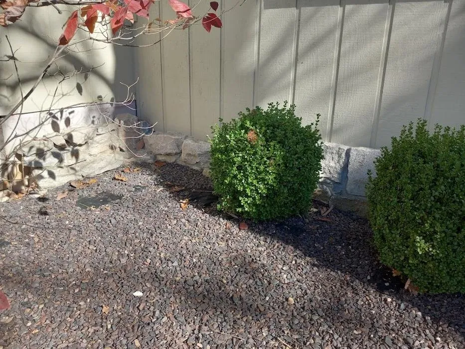 Top-rated outdoor landscaping for residential properties across Springfield, MO - Proformance