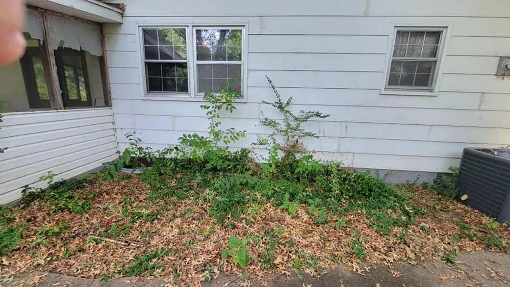 Top-rated lawn care service experts serving Springfield, MO - Proformance