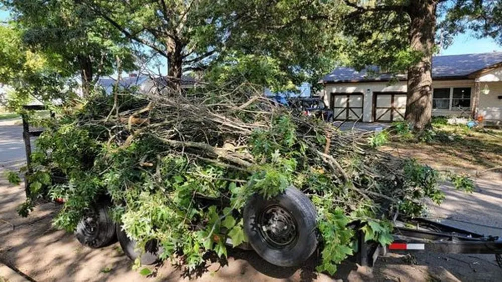 Affordable garden landscaping in Springfield, MO - Proformance