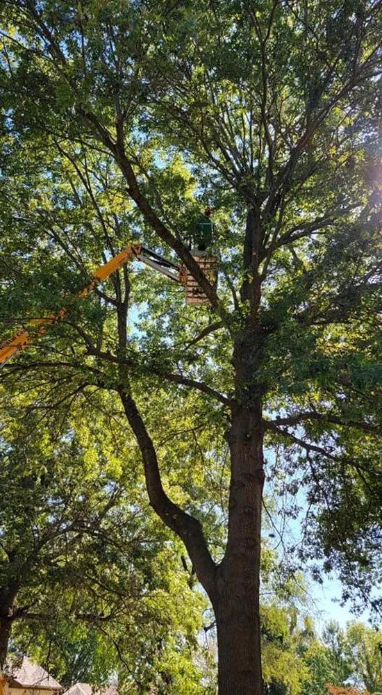 Local landscaping services with custom design across Springfield, MO - Proformance