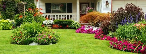 Custom landscaping services for homes across Denver, NC - Proformance Turf