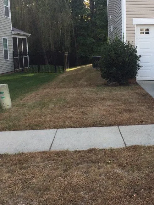 Trusted landscaping services in Denver, NC by Proformance Turf