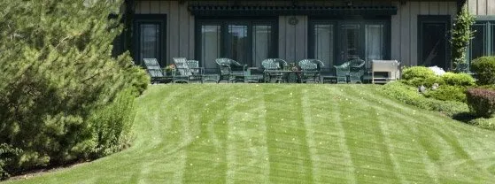 Trusted landscaping services near you across Denver, NC - Proformance Turf