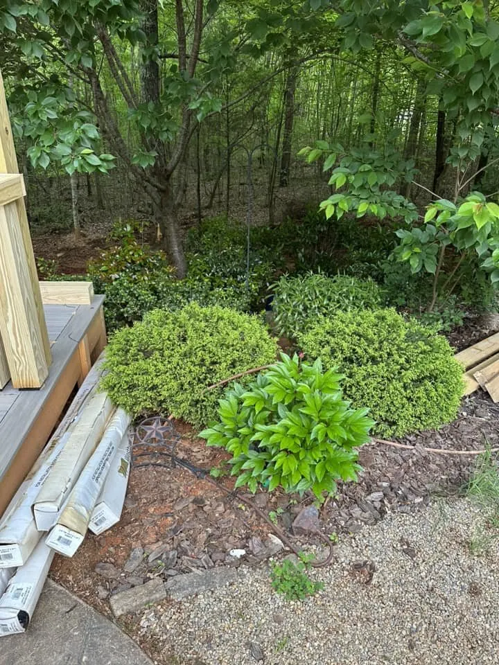 Custom landscape design experts serving Lincolnton, NC - Profriendly