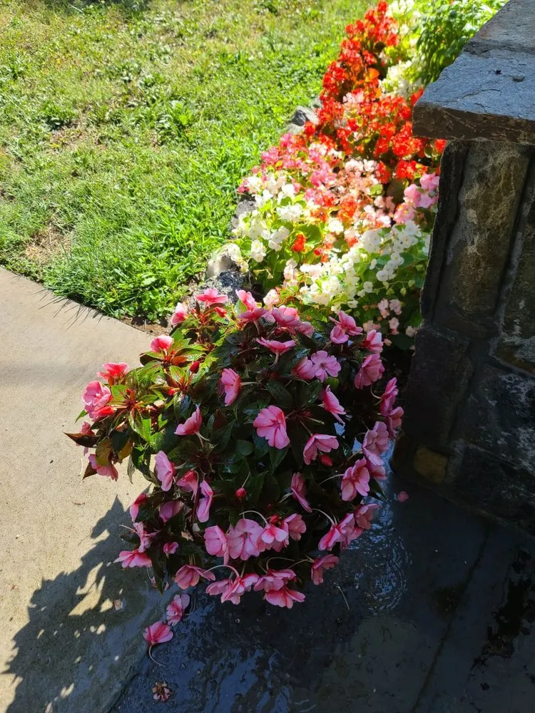 Expert landscape installation in Lincolnton, NC by Profriendly