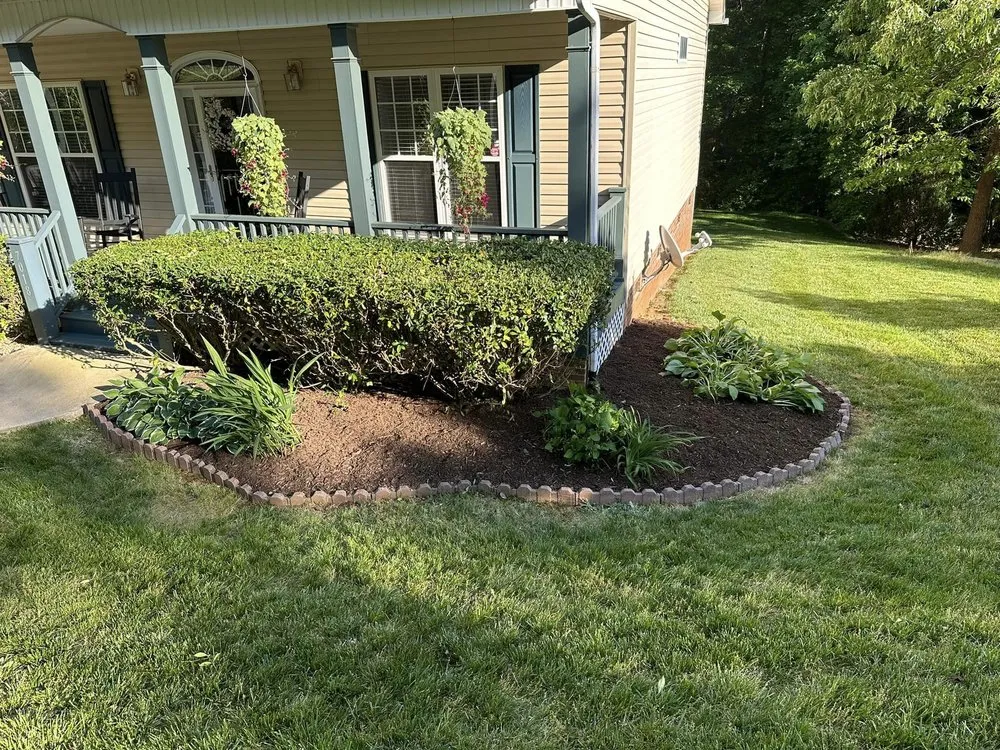 Expert yard cleanup service in Lincolnton, NC by Profriendly