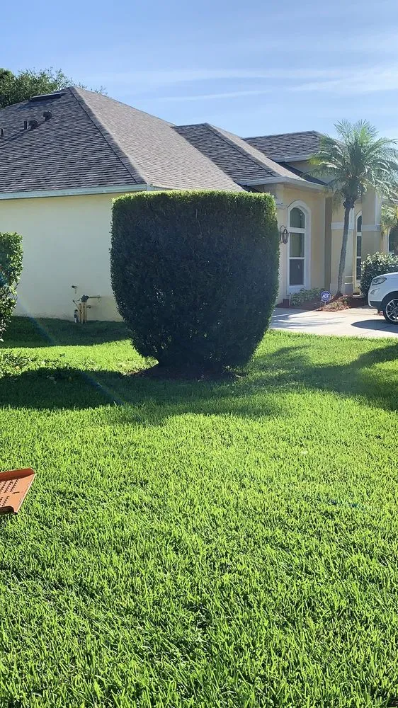 Local lawn care service for outdoor upgrades in Titusville, FL by ProGen Lawn Service