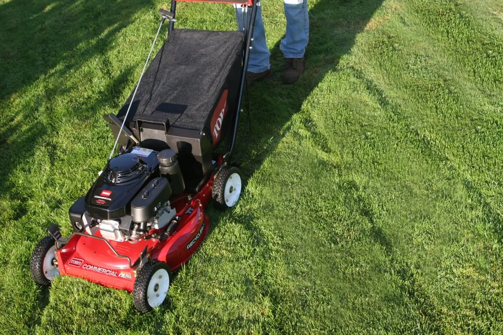 Affordable lawn care service in Walnut Creek, CA - Prograss Landscape Care & Design