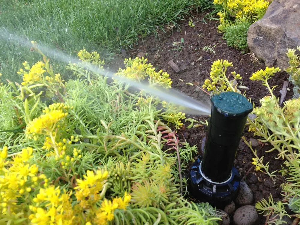 Custom landscaping services in Walnut Creek, CA by Prograss Landscape Care & Design