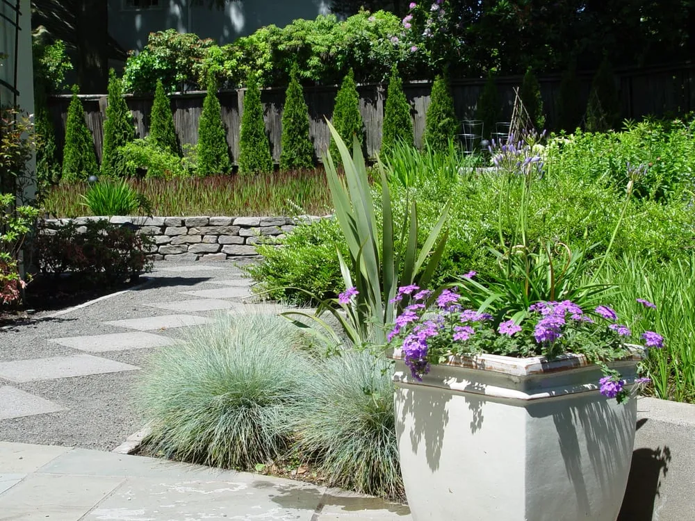 Affordable landscape design in Walnut Creek, CA - Prograss Landscape Care & Design