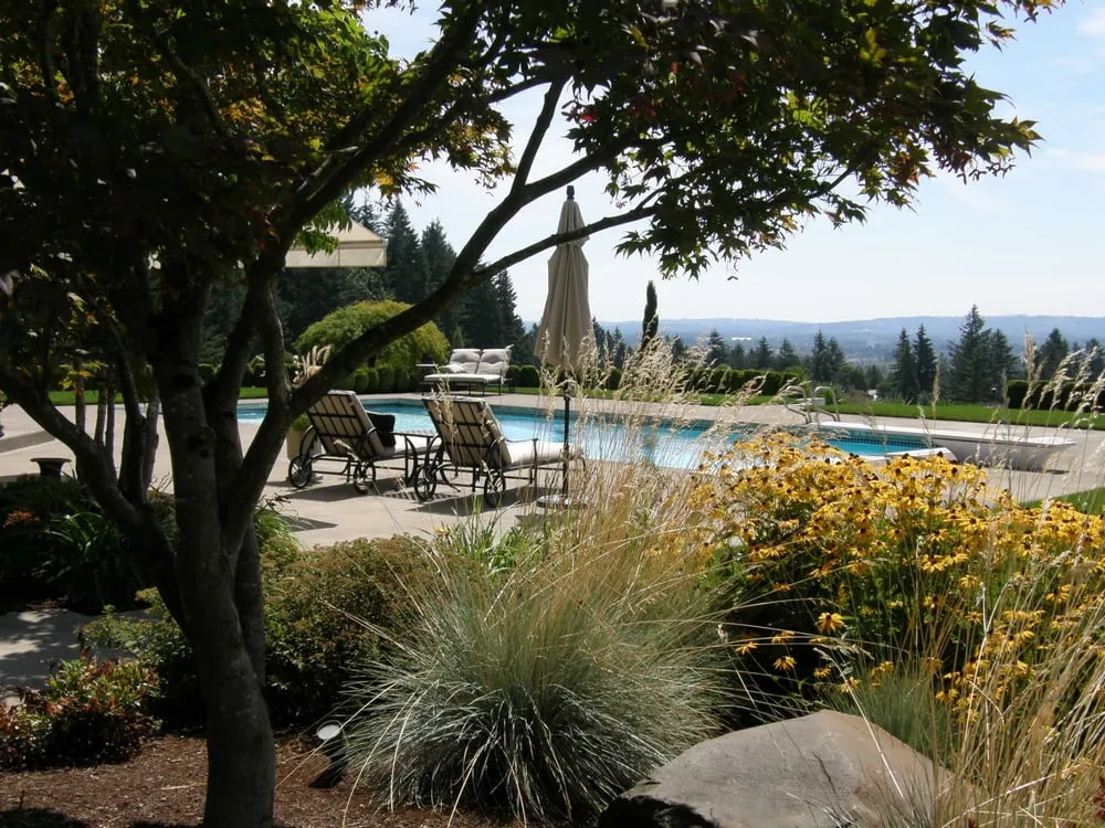 Local lawn care service in Wilsonville, OR by ProGrass Landscape Care & Design