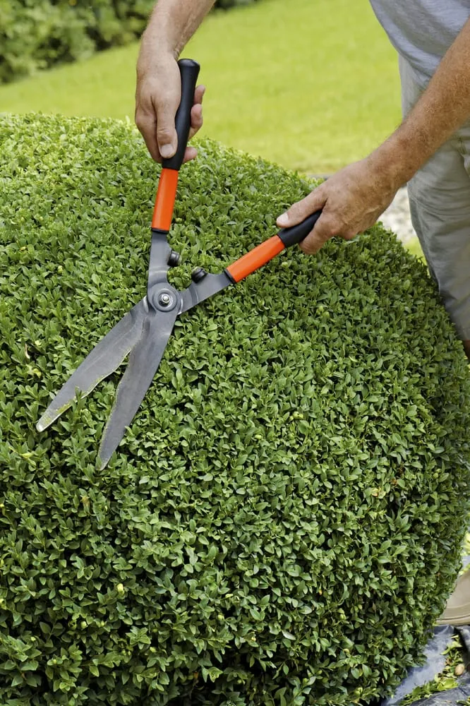 Top-rated landscape installation experts serving Wilsonville, OR - ProGrass Landscape Care & Design