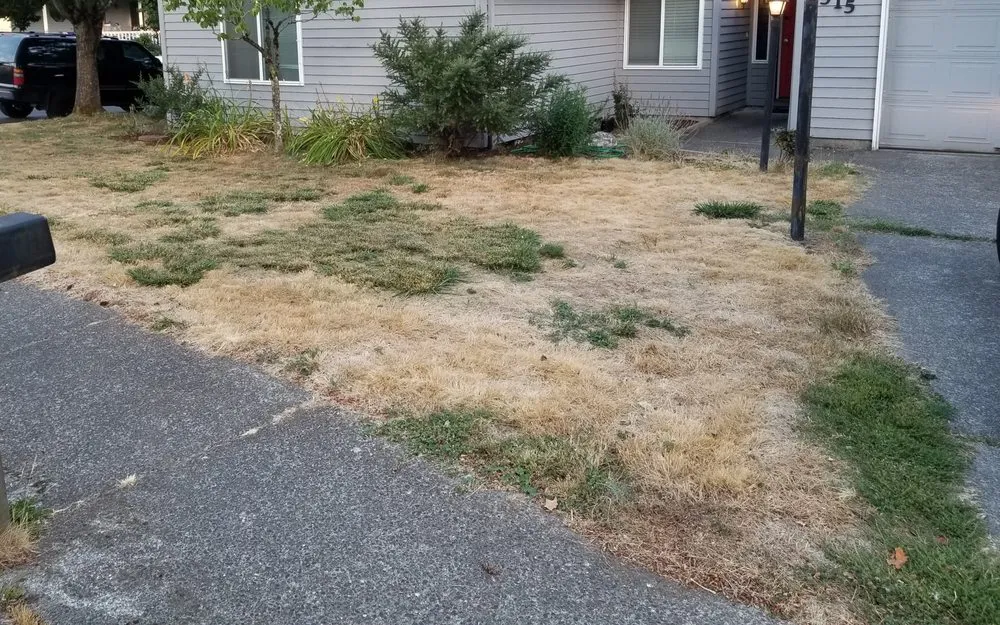 Reliable landscaping services for residential properties in Wilsonville, OR by ProGrass Landscape Care & Design