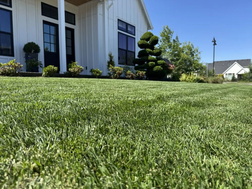 Custom lawn mowing service in Wilsonville, OR by ProGrass Landscape Care & Design