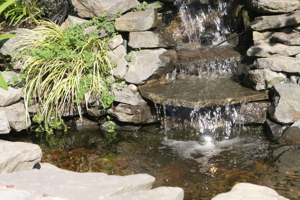 Expert lawn care service experts serving Wilsonville, OR - ProGrass Landscape Care & Design