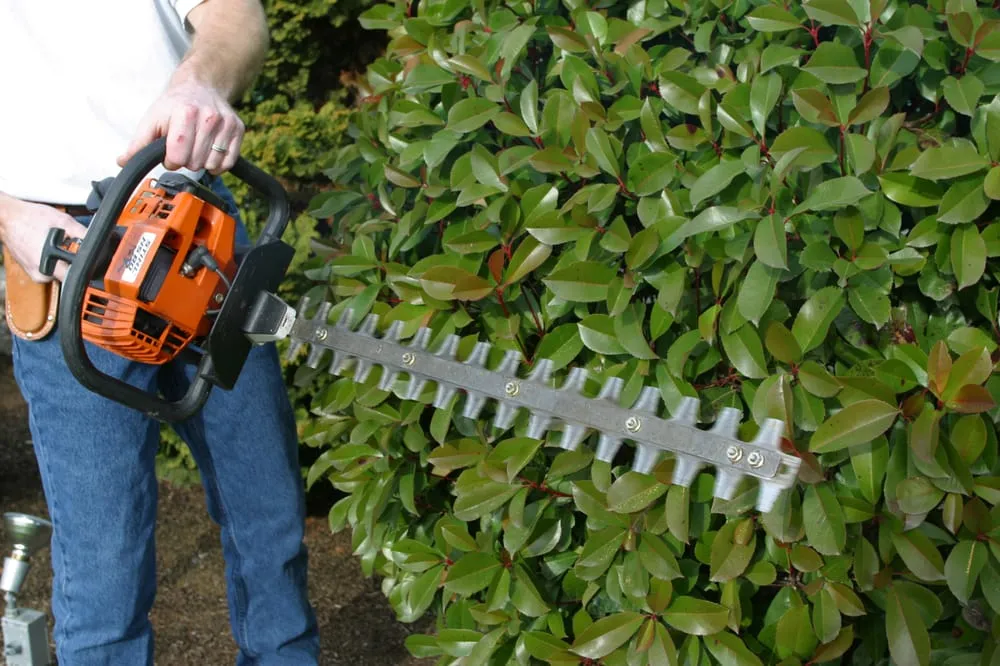 Affordable residential landscaping for year-round maintenance across Portland, OR - Prograss